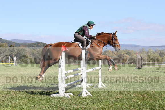 Terry Adcock on Irish Belle, Novice Horse Trials Senior B, Dressage Only: First Level, Test 2