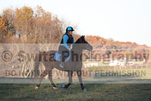 Alison O'Connor on Harwich Maximus, Green Horse Trials Senior