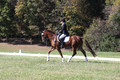 Emily Kagey on Flicka, Beginner Novice Horse Trials Junior A