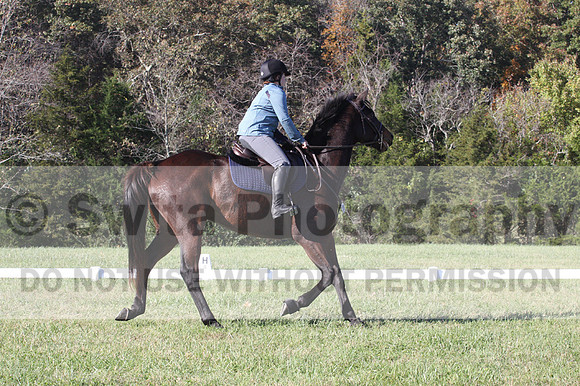 Carol Brickey on Throwing Stones, Advanced Green Horse Trials B