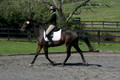 Jenny Rosner on Evita K, Advanced Green HT Senior