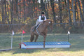 Elizabeth Brown on Adagio, Advanced Green Horse Trials Senior A