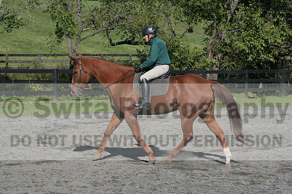 John Weir on Admiral, Dressage Only: Training Level, Test 2/3