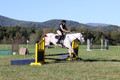 Carolyn Rutledge on Izzy, Advanced Green Horse Trials A
