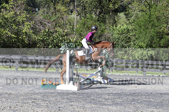 April Trimmer on Polish Cat, Green HT