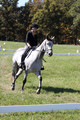 Michele Gnozzio on Dazzling, Beginner Novice Horse Trials Senior C