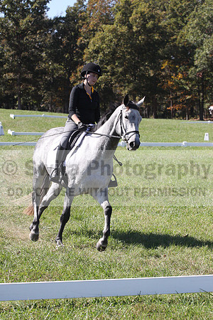 Michele Gnozzio on Dazzling, Beginner Novice Horse Trials Senior C