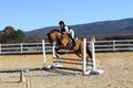 Elizabeth Brown on Adagio, Advanced Green Horse Trials Senior A