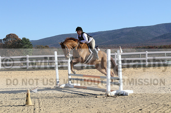 Elizabeth Brown on Adagio, Advanced Green Horse Trials Senior A