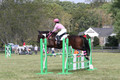 Charlotte Collier on Clifford M