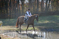 Elizabeth Brown on Adagio, Advanced Green Horse Trials Senior A