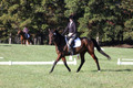 Margo Hardy on Soling's Hat Trick, Novice Horse Trials Senior B