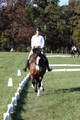 Allie Farley on Fiona, Novice Horse Trials Senior A