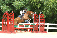 Cosenza.Natalie.SF Sergeant Reckless.N-HT-B.135