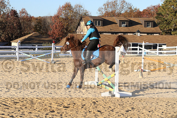 Alison O'Connor on Harwich Maximus, Green Horse Trials Senior