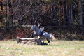 Josie Howard on Shenandoah Sea Lily, Beginner Novice Horse Trials Senior B