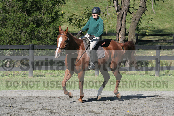 John Weir on Admiral, Dressage Only: Training Level, Test 2/3