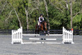 Mandolin Whitten on Thistle, Novice Horse Trials