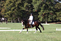 Allie Farley on Fiona, Novice Horse Trials Senior A