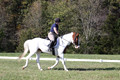 Elizabeth Schooley on Pearl, Advanced Green Horse Trials A