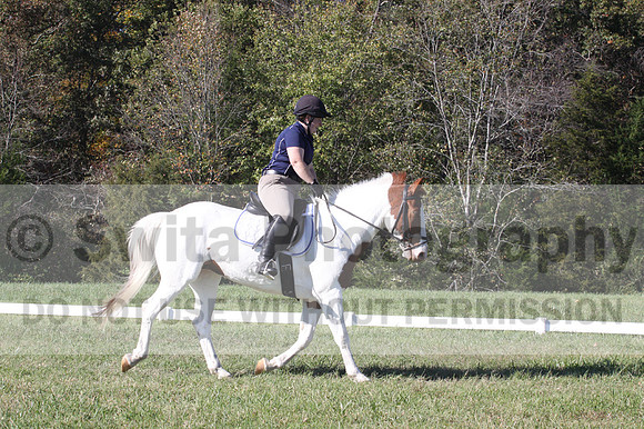 Elizabeth Schooley on Pearl, Advanced Green Horse Trials A