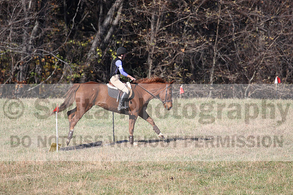 Natalie Williams on The Sundance Kid, Beginner Novice Horse Trials Senior A