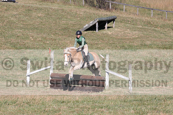 Sally Nunneley on Gingerman, Beginner Novice Horse Trials Senior A