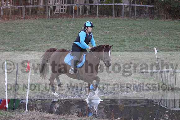 Alison O'Connor on Harwich Maximus, Green Horse Trials Senior