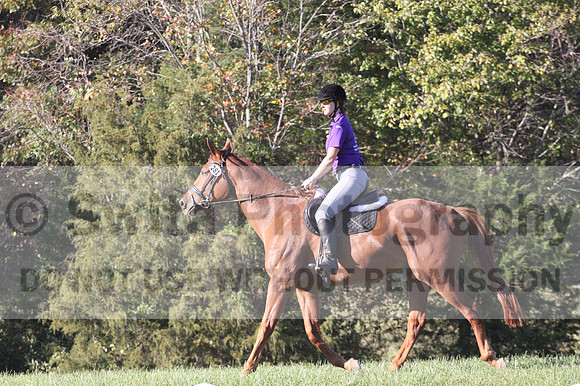 Summer Gentry on Coup DeVille, Green Horse Trials