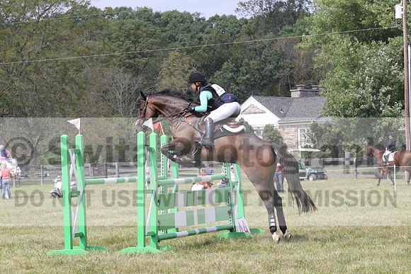 Nita Sanfillippo on Alarmabull, OI