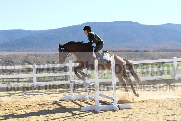 Amy Morris on Milo, Beginner Novice Horse Trials Senior C