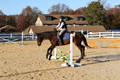Caroline Morel on Lizzie, Green Horse Trials Junior