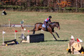 Shannon Daily on Pitt Maneuver, Novice Horse Trials Senior
