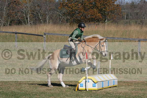 Sally Nunneley on Gingerman, Beginner Novice Horse Trials Senior A