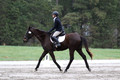 DR5K2181