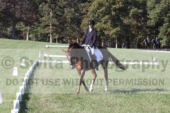 Maggie Proffitt on Wallstreet Melody, Novice Horse Trials Junior