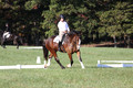 Allie Farley on Fiona, Novice Horse Trials Senior A