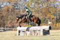 Wendy Zolinski on Civil Assets, Training Horse Trials