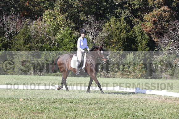 Nancy Grey on Bit Of Irish, Advanced Green Horse Trials B