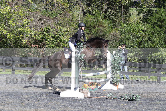 Wenzhao Zhang on High Roller, Beginner Novice Senior Horse Trials A