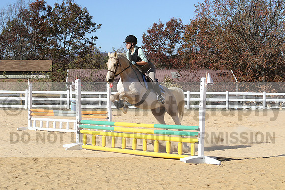 Anna Kryder on MEMC Playboy, Beginner Novice Horse Trials Junior A