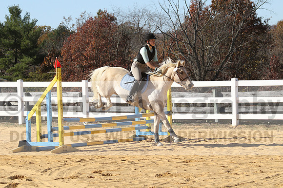 Anna Kryder on MEMC Playboy, Beginner Novice Horse Trials Junior A