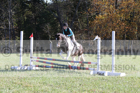Kaitlyn Schmidt on Dandy, Advanced Green Horse Trials A