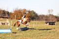 Reagan Roy on Paint By Numbers, Green Horse Trials Junior