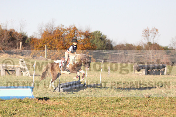 Reagan Roy on Paint By Numbers, Green Horse Trials Junior