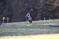 Reagan Roy on Paint By Numbers, Green Horse Trials Junior