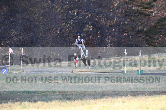 Reagan Roy on Paint By Numbers, Green Horse Trials Junior