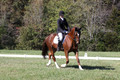 Emily Kagey on Flicka, Beginner Novice Horse Trials Junior A