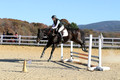 Dorothy Lower on The Wizard Of Oz, Advanced Green Horse Trials Junior A