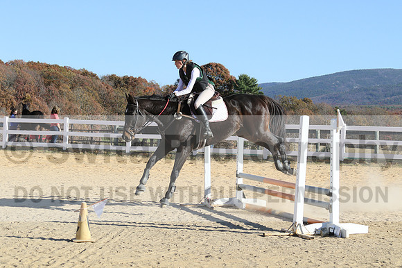 Dorothy Lower on The Wizard Of Oz, Advanced Green Horse Trials Junior A